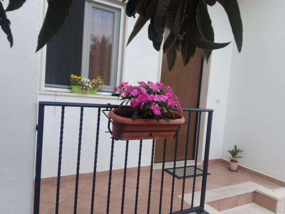 Casa Di Cristina Apartment Fiumicino Luaran gambar
