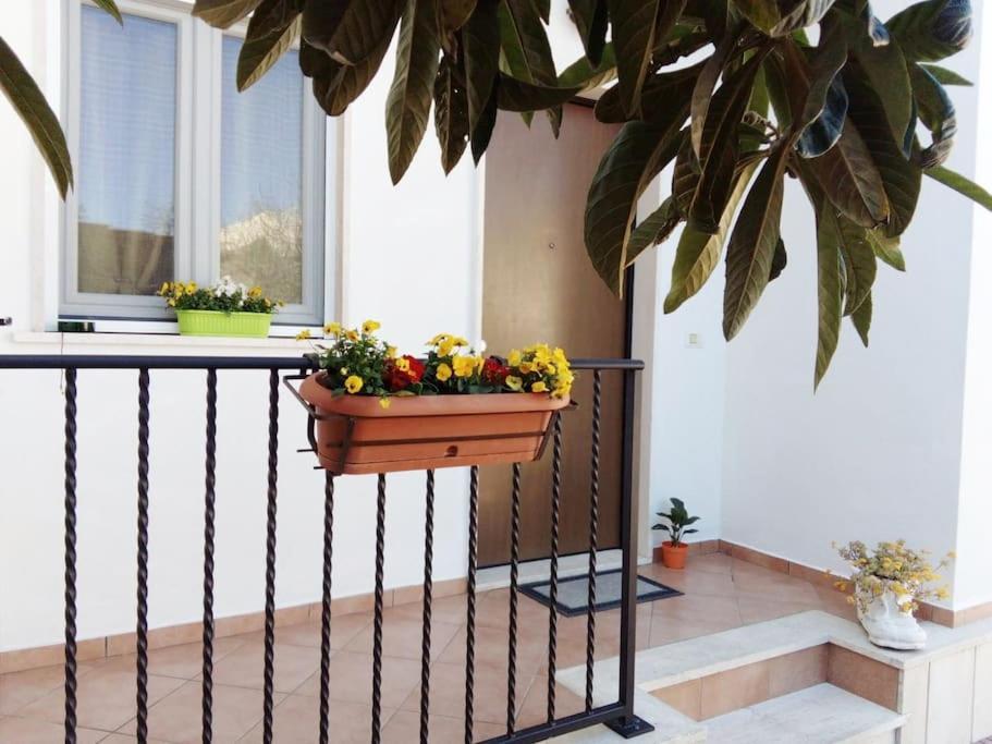 Casa Di Cristina Apartment Fiumicino Luaran gambar