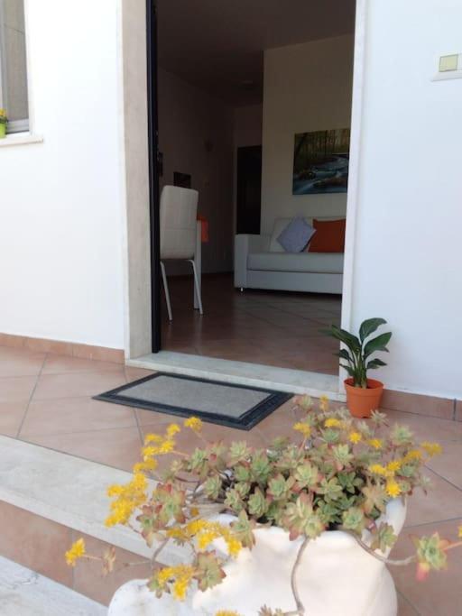 Casa Di Cristina Apartment Fiumicino Luaran gambar