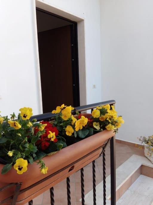 Casa Di Cristina Apartment Fiumicino Luaran gambar