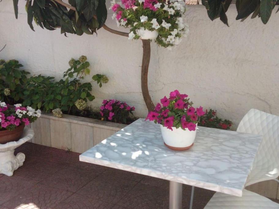 Casa Di Cristina Apartment Fiumicino Luaran gambar