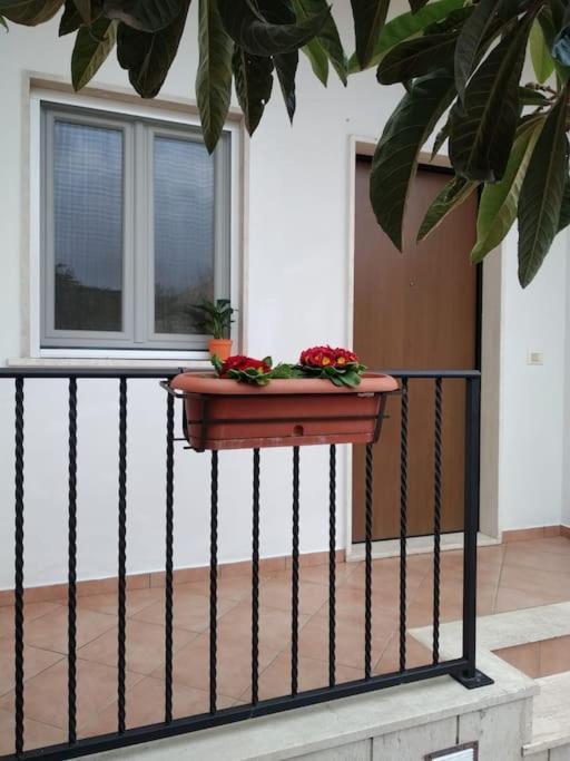 Casa Di Cristina Apartment Fiumicino Luaran gambar